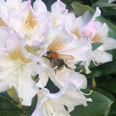 Timeout-breda Tatil Evi