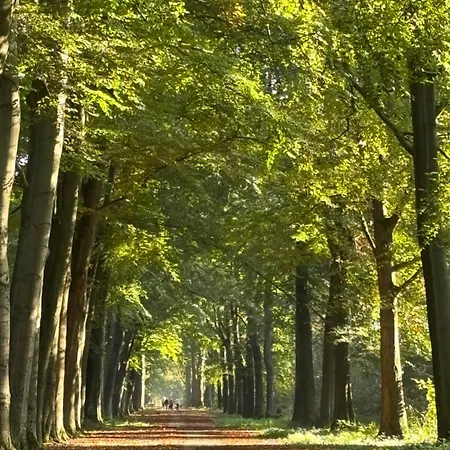 Timeout-breda Ferienhaus