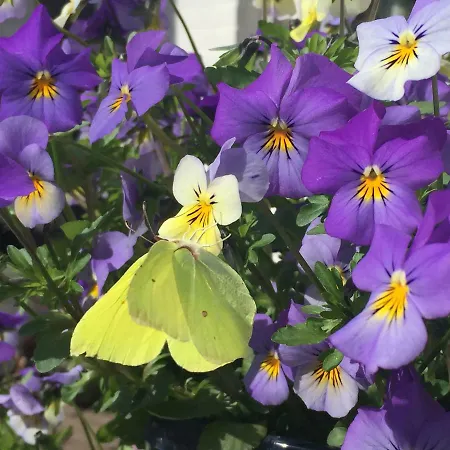 Hébergement de vacances Timeout-breda