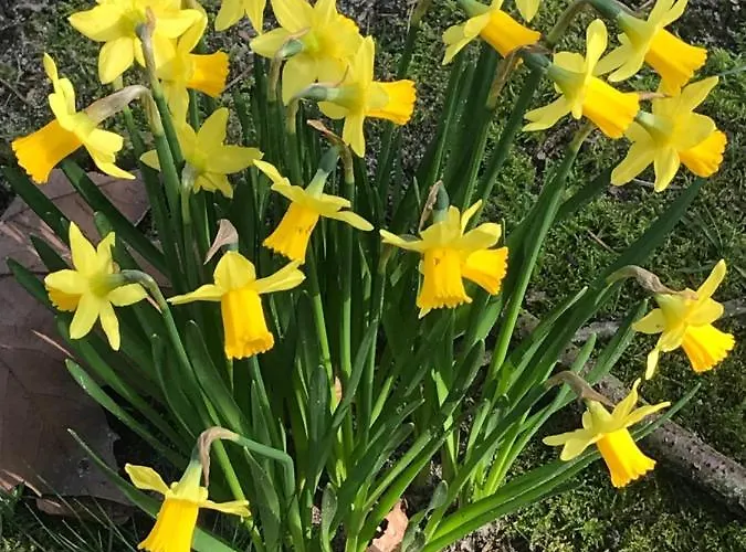Timeout-breda Hébergement de vacances