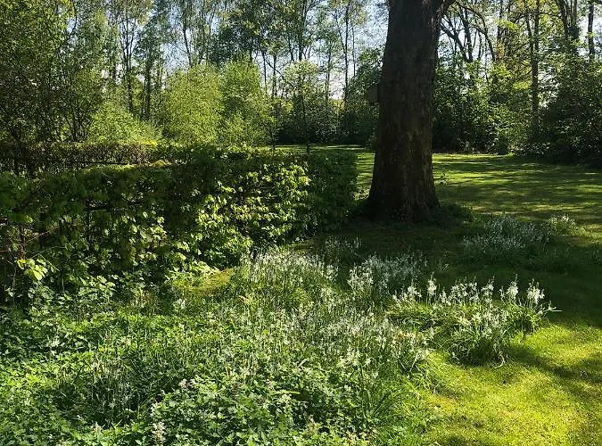 Timeout-breda Ferienhaus *