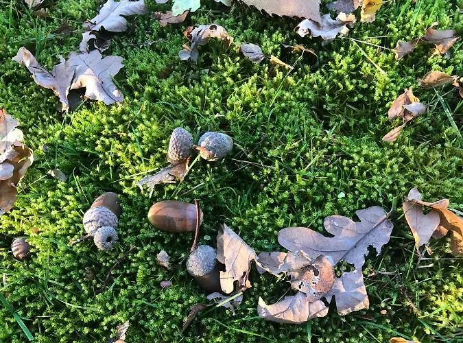 Hébergement de vacances Timeout-breda