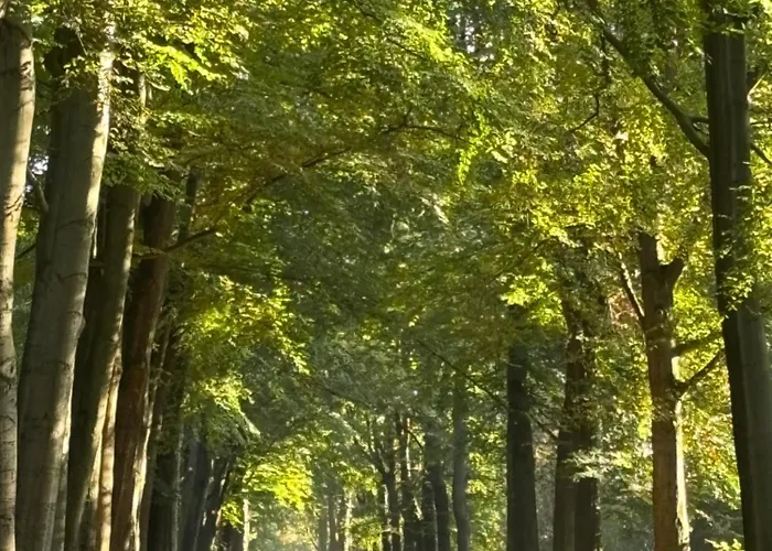 Timeout-breda Ferienhaus