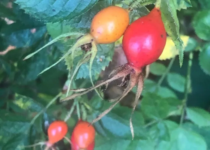 Ferienhaus Timeout-breda *