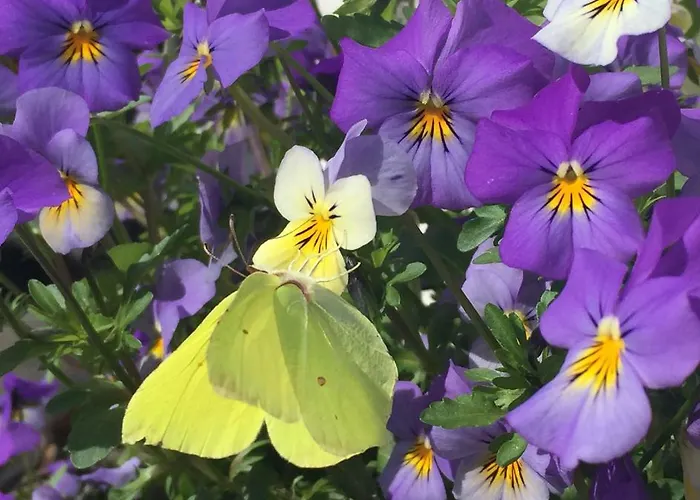 Ferienhaus Timeout-breda