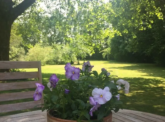 Timeout-breda * Breda