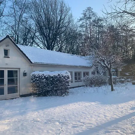 布雷达泰姆奥特住宿加早餐旅馆
