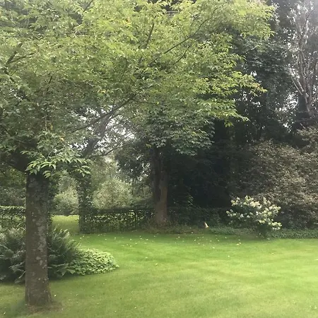 布雷达泰姆奥特住宿加早餐旅馆 布雷达