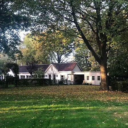 布雷达泰姆奥特住宿加早餐旅馆 布雷达