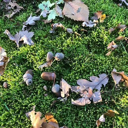 度假居 布雷达泰姆奥特住宿加早餐旅馆