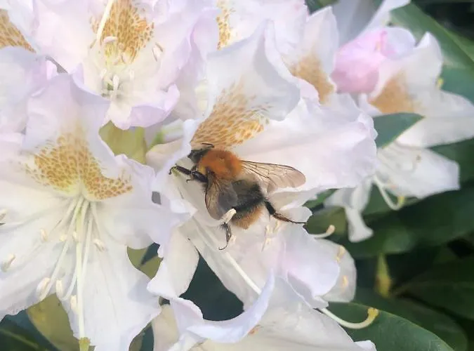 Timeout-breda Holiday home