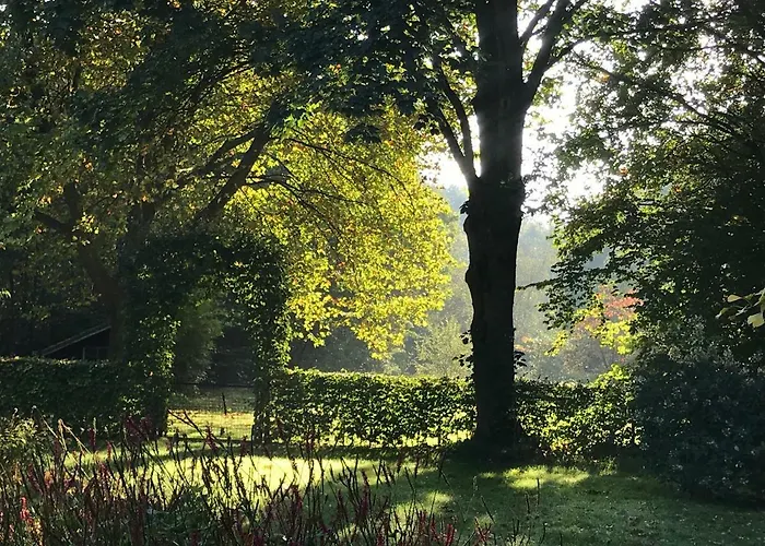 Tatil Evi Timeout-breda Breda